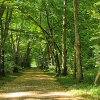 Prsentation des nouveaux parcours dans le jardin